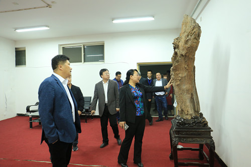 杨伟坤副市长到贺阳教育集团考察