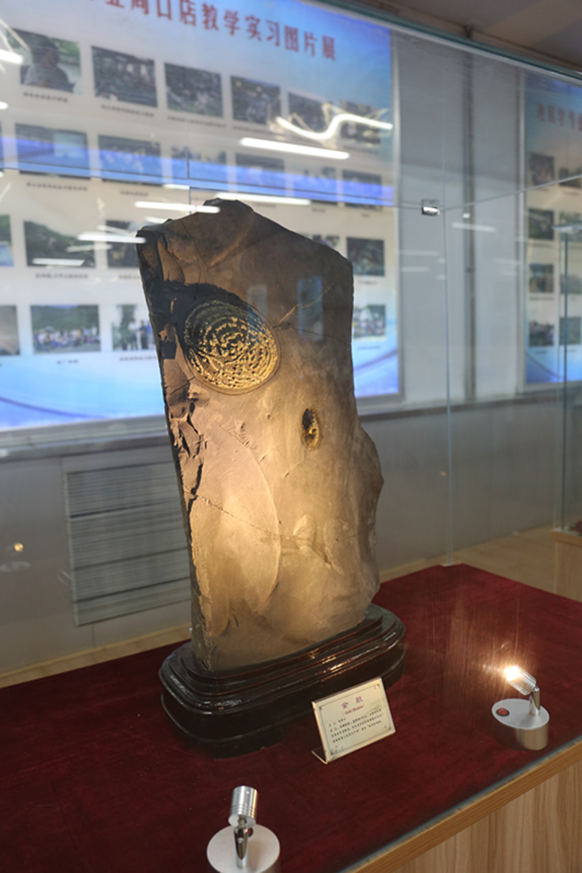保定理工学院地质馆成为河北省科普示范基地并挂牌