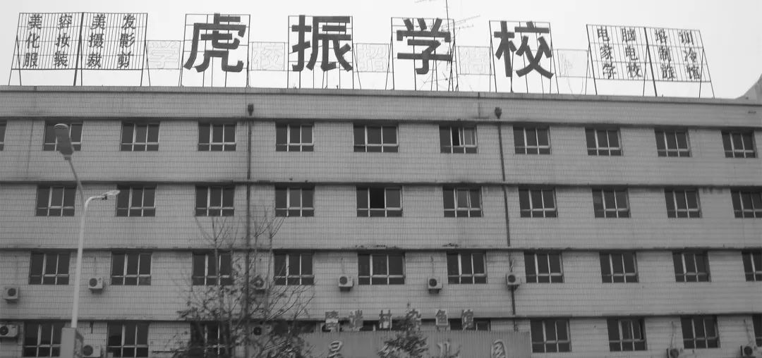 央视著名主持人朱迅采访贺阳教育集团董事长周虎震、执行董事长周政阳