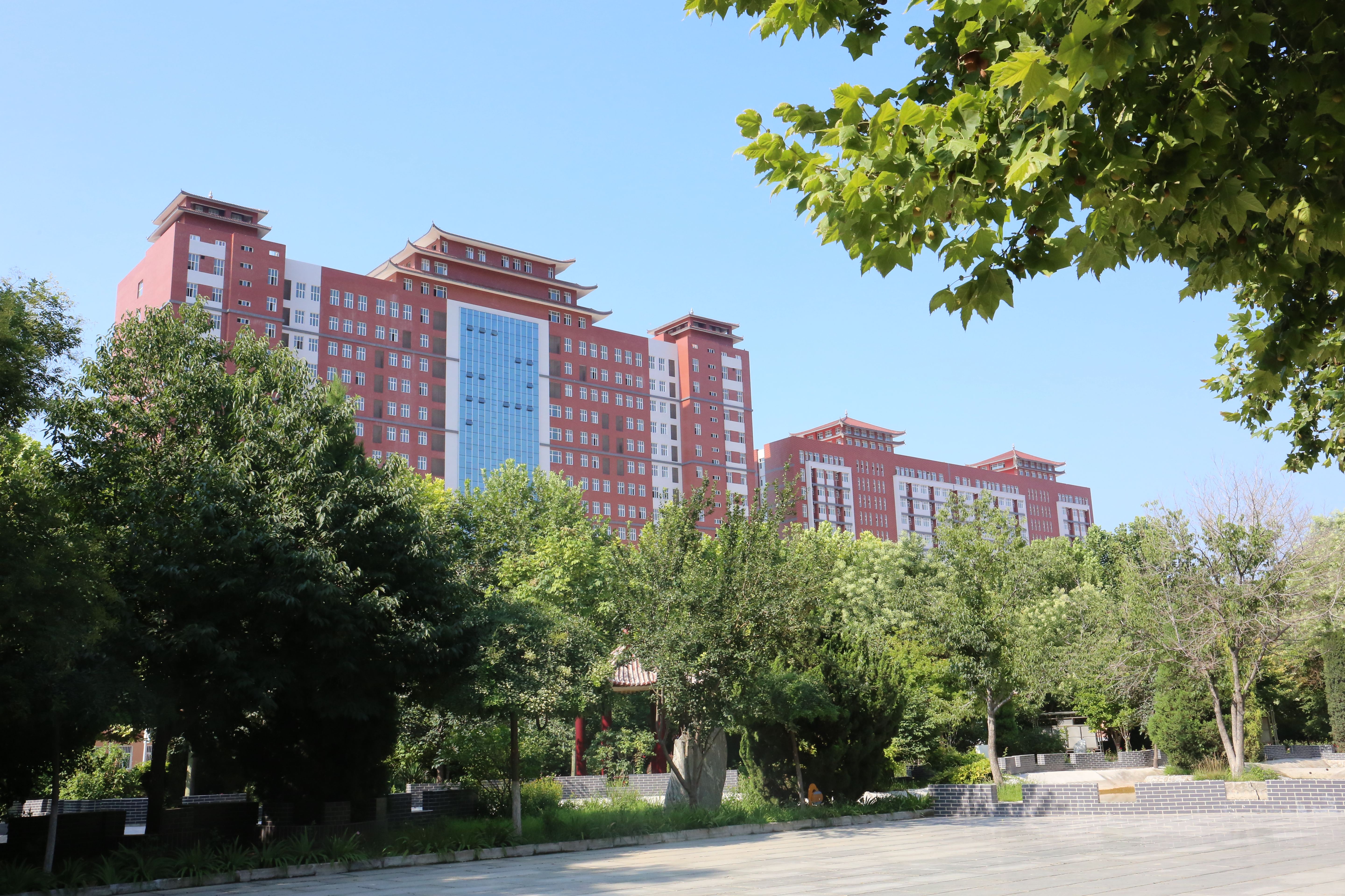 事关奖助学金,保定理工学院这一举动被人民网点赞!